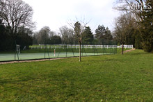 Luxuriant court de tennis. C0531