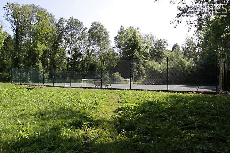 Tennis sauvage. C0296