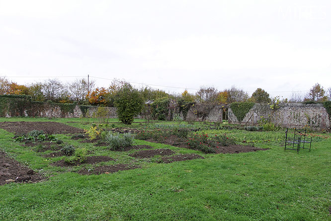 Le potager. C0176