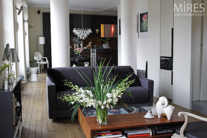 Petit loft déco. C0223 | Mires Paris