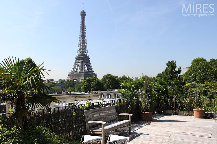 A garden on the roof. C0361