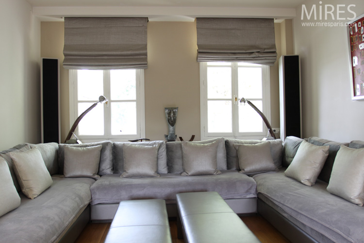 Gris argent au salon. C0578