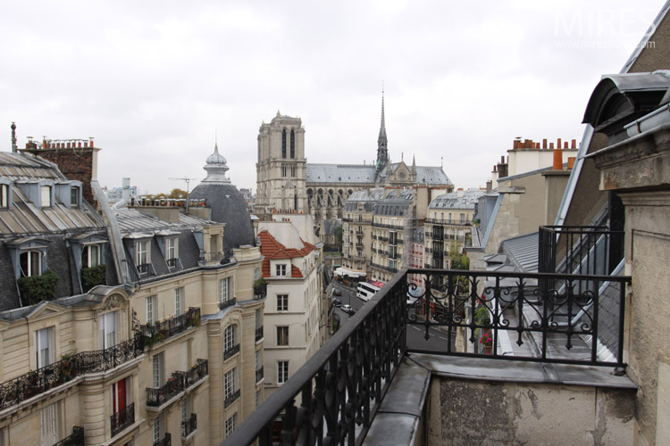 Vue sur Notre Dame. C0672
