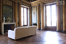 Doubles colonnes ioniques et parquet Versailles. C0622