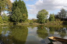 A romantic pond. C0638