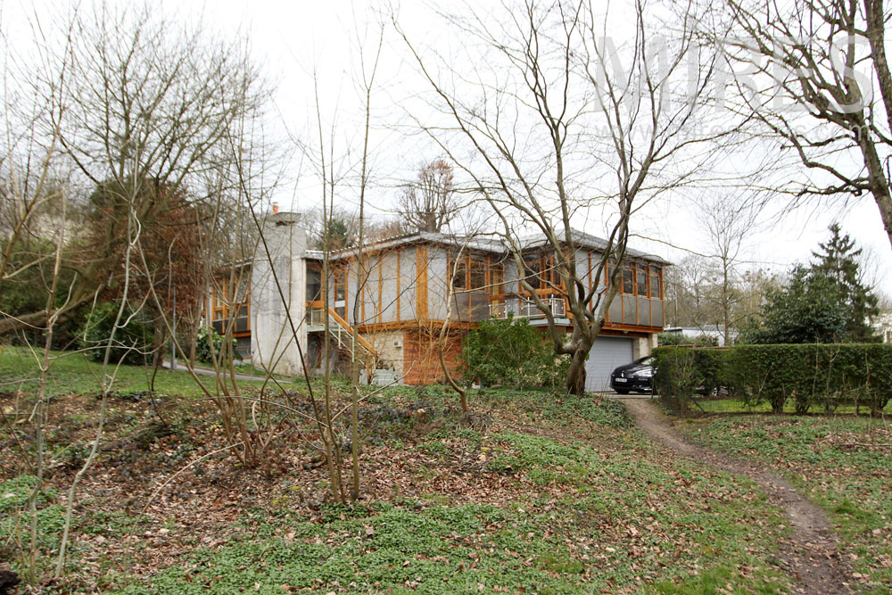 Jardin et petit sous-bois. C1309
