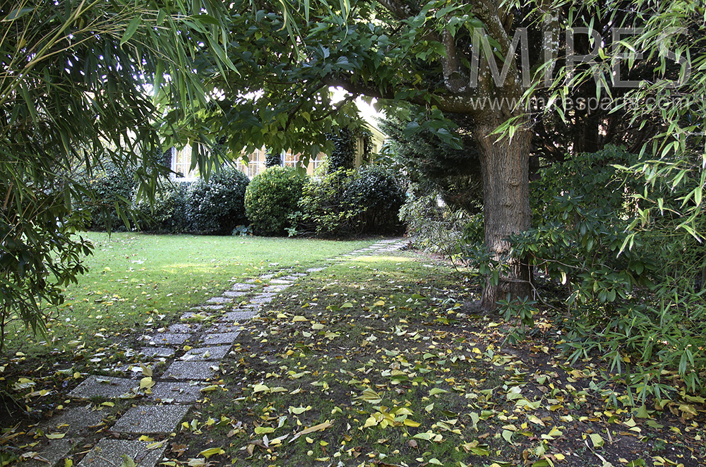 Jardin avec arbres. C1509