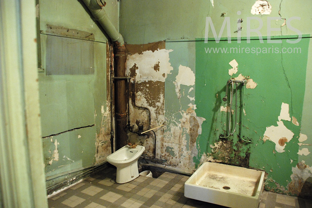 Douche verte. C1550