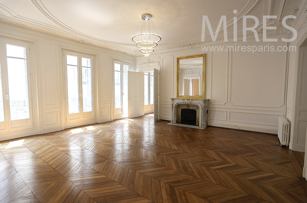 Grand Haussmannien vide. C1571