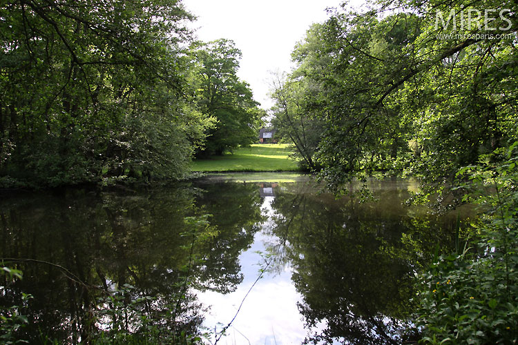 C0534 – Reflet sur l’étang