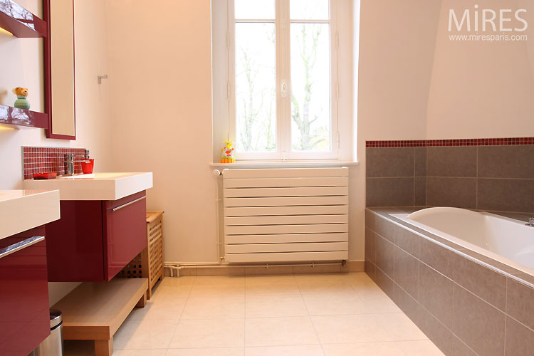 Salle de bains moderne. C0459