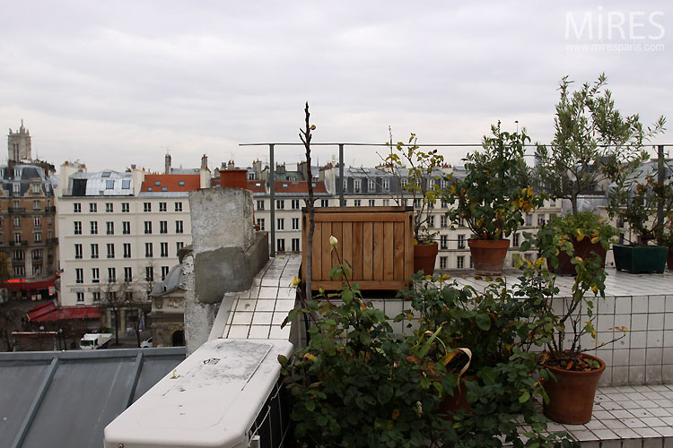 C0471 – White tiles and terrace