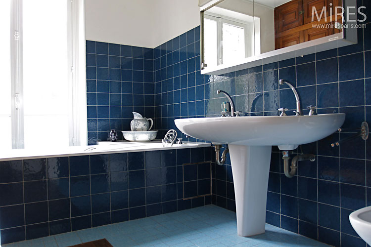 Carreaux bleus. C0158