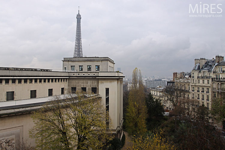 Parisian view. C0460
