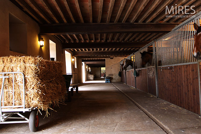 Ecuries de château. C0143