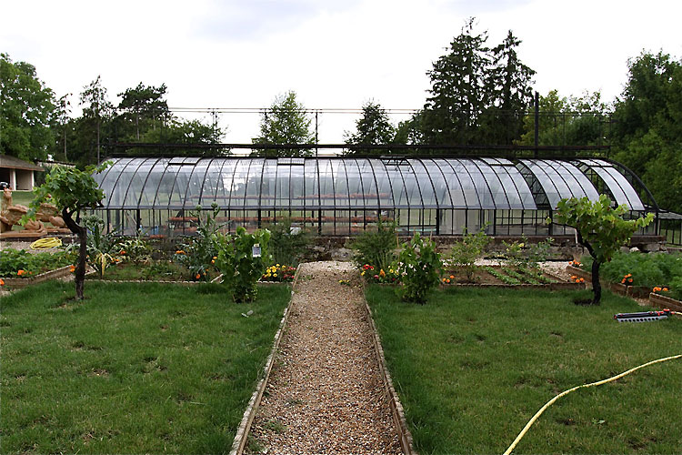 C0378 – Greenhouse and vegetable garden