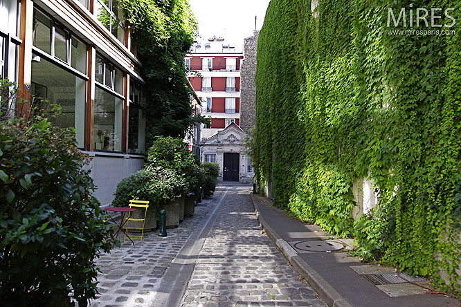 De lierre et de pavés. C0087