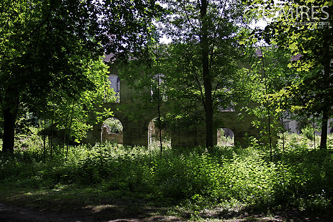 Ruines bucoliques. C0071