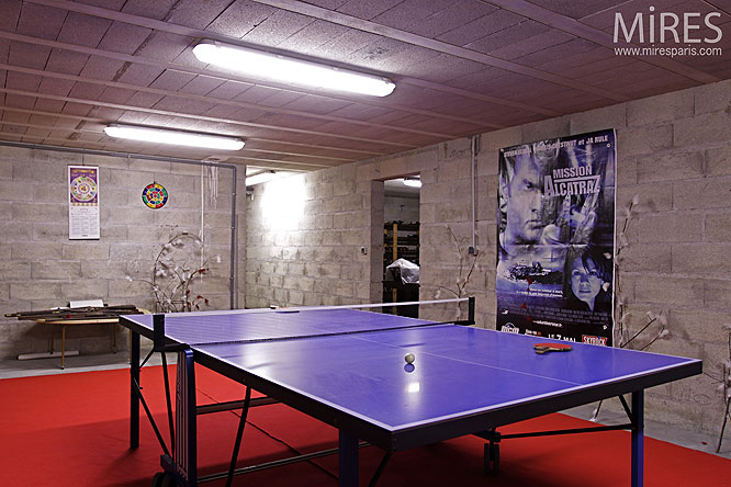 C0134 – Table de ping pong