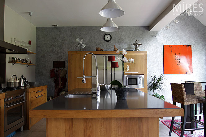 Modern open kitchen. C0259