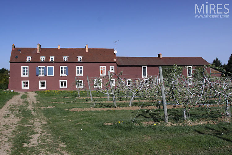 C0535 – Vigne et campagne