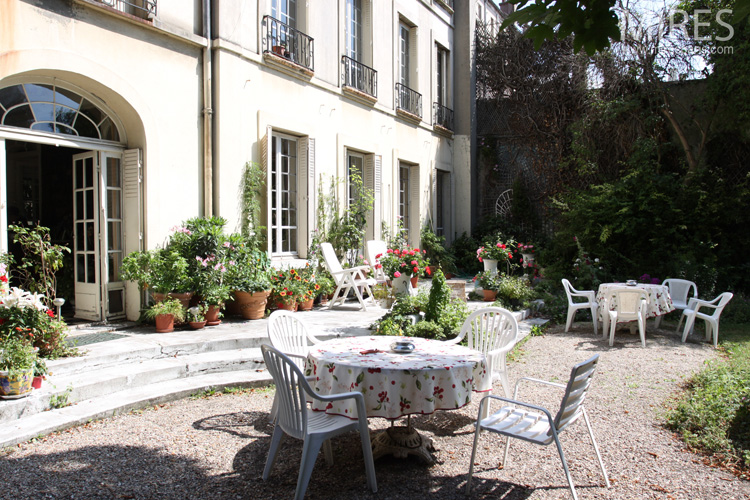 C0592 – High stem trees, boxwood, sunny terrace