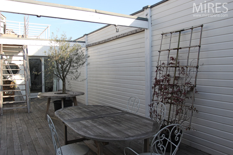 C0648 – Indoor terrace with olive tree