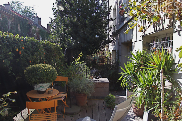 C0639 – Plants and deckchair in the sun