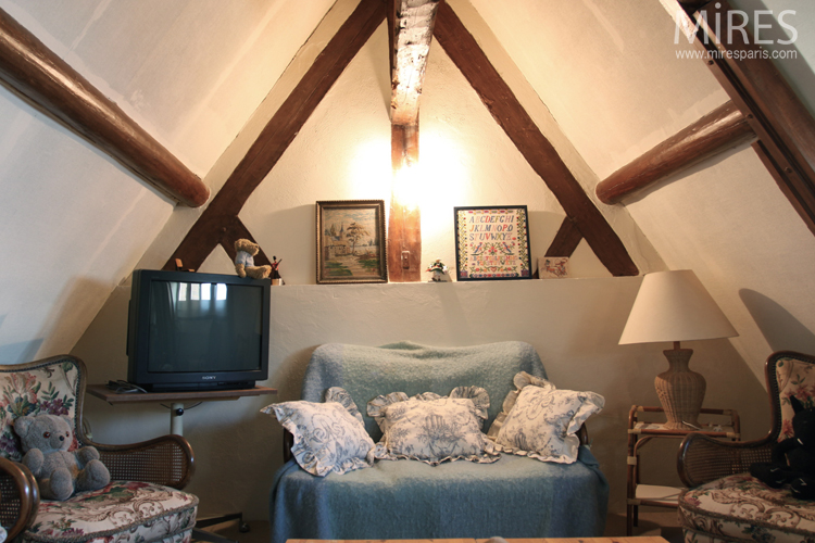 C0647 – Attic