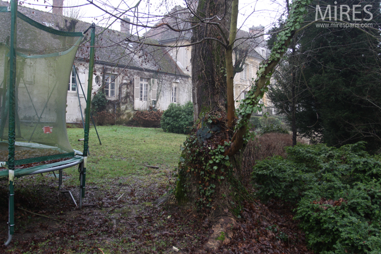 C0676 – Row of shrubs and large meadow