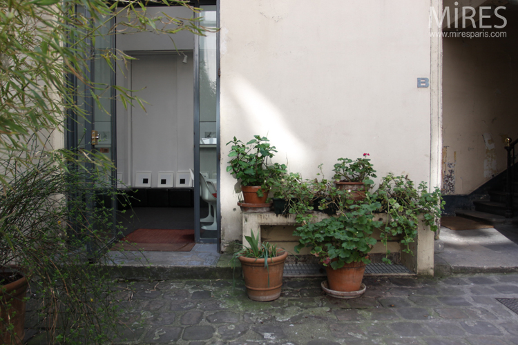 C0706 – Courtyard and bamboo in pots