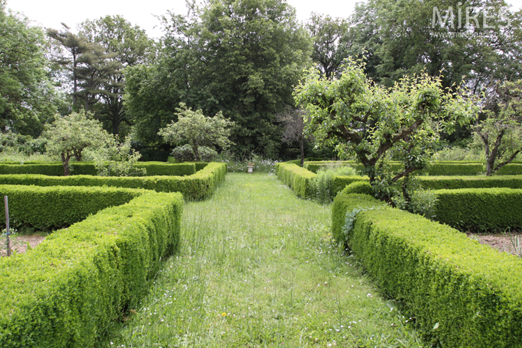 C0726 – Orangerie sur jardin bordé de buis