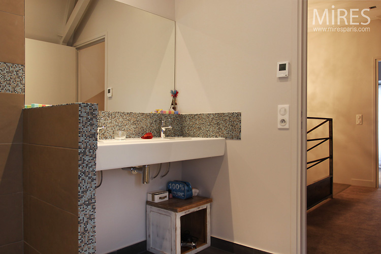 C0751 – Pixilated bathroom