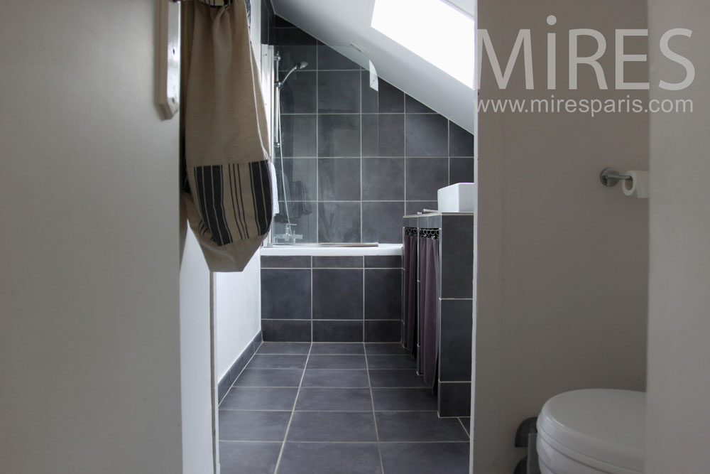 C0763 – Little attic bathroom