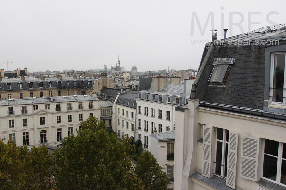 Paris au balcon. C0771