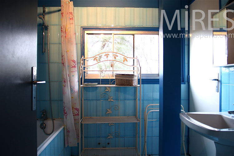 Blue bathroom. C0818