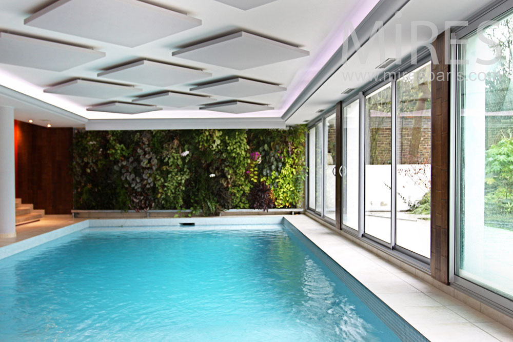 Swimminig pool, vegetal wall. C0819