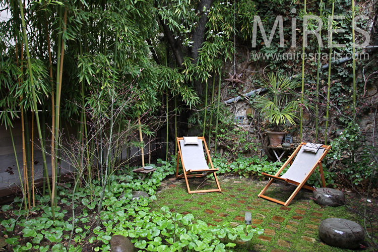 C0859 – Jungle backyard