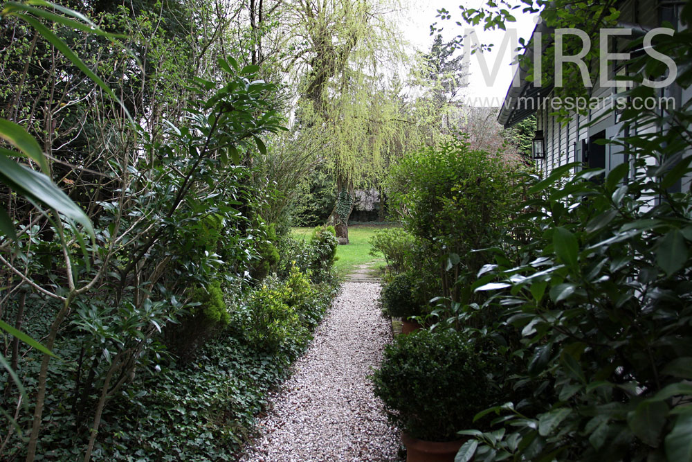 Into the nature cottage. C0861