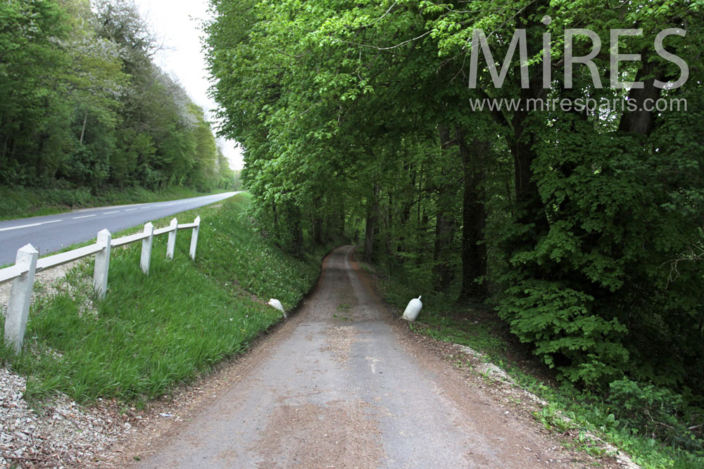 C0870 – Chemin d’accès en sous-bois