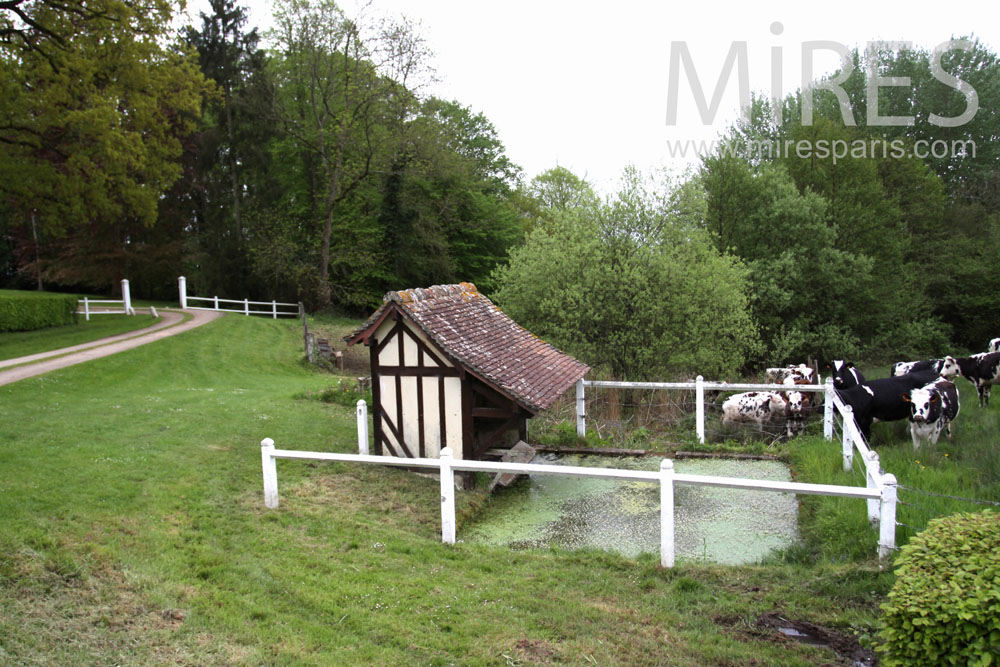 C0870 – Petit lavoir à côté du pâturage