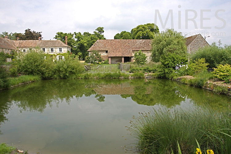 C0887 – Square pond and peaceful park