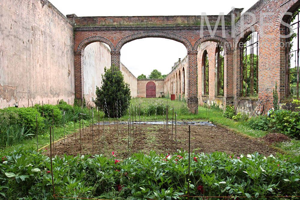 C0890 – Arcade en ruine et potager