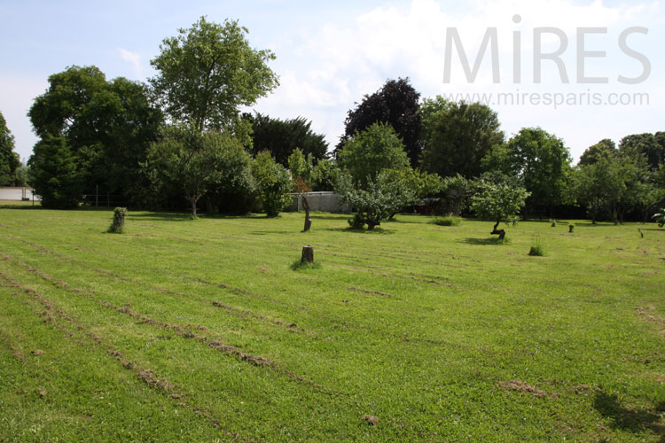 C0894 – Freshly mowed park