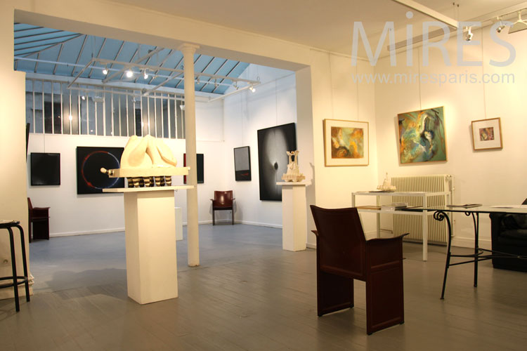 C0895 – Sous la verrière du Mini Palais