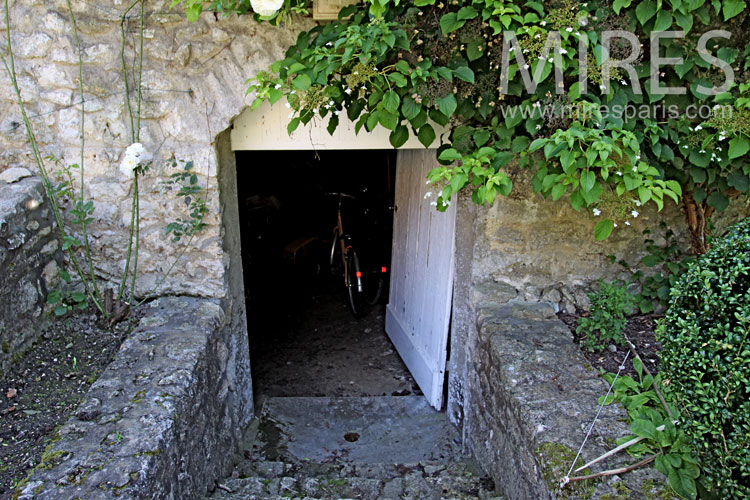 C0897 – Dans la fraîcheur des caves abandonnées