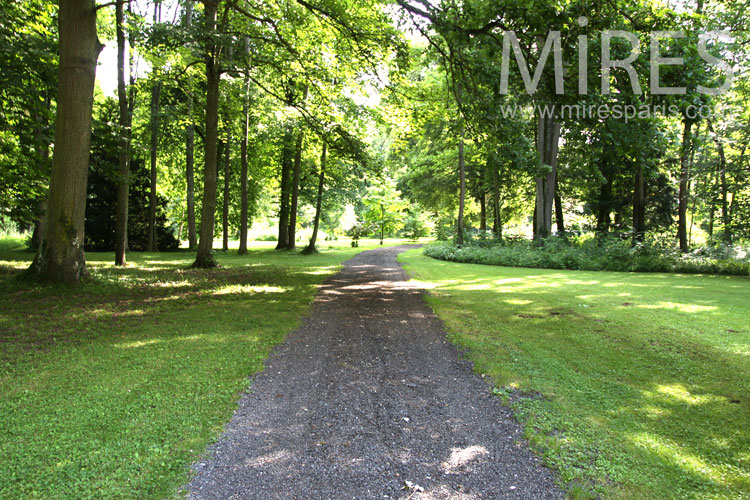 C0897 – Parc et forêt à l’anglaise