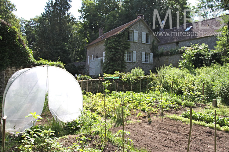 C0897 – Au bonheur du potager