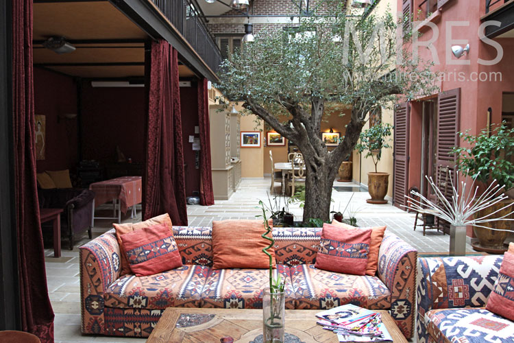 C0901 – Patio seating area around the olive tree