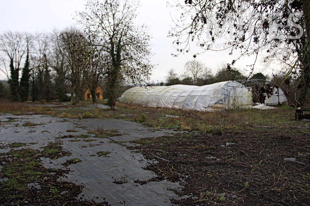 Greenhouse crops. C0972